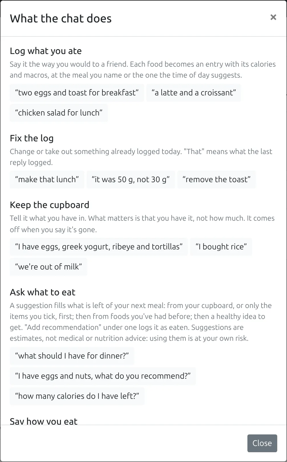 The chat's examples: what it does, with examples of each kind of message